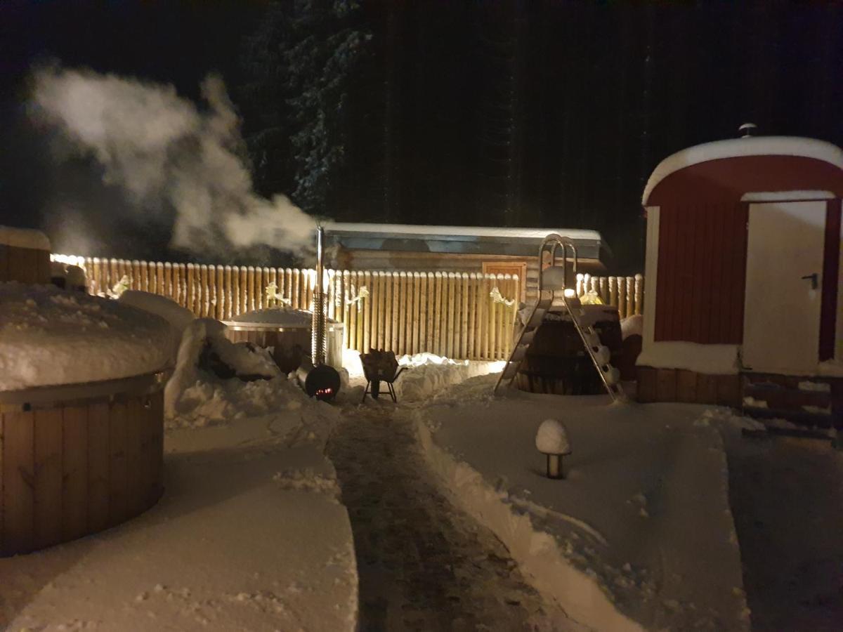 Erzgebirgsidyll Villa Breitenbrunn  Eksteriør billede