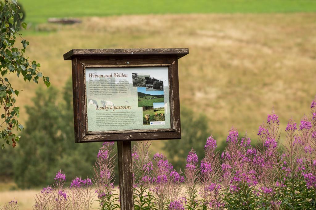 Erzgebirgsidyll Villa Breitenbrunn  Eksteriør billede