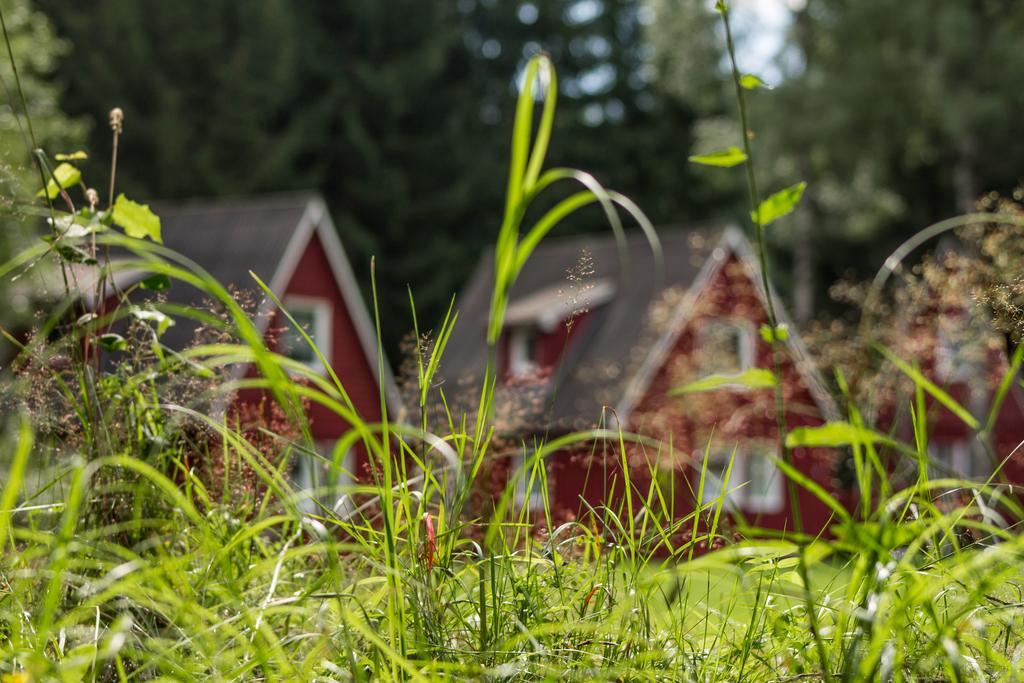 Erzgebirgsidyll Villa Breitenbrunn  Eksteriør billede