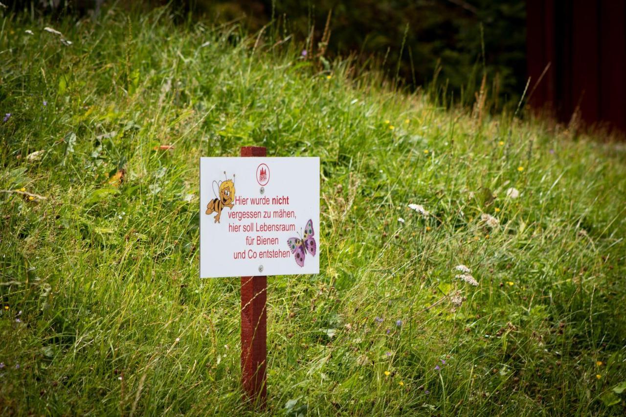 Erzgebirgsidyll Villa Breitenbrunn  Eksteriør billede